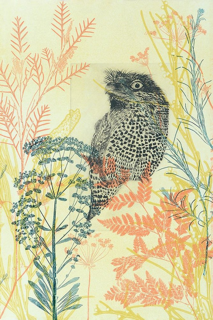 Friendly Tawny Frog Poster Print by Trudy Rice # R1365D