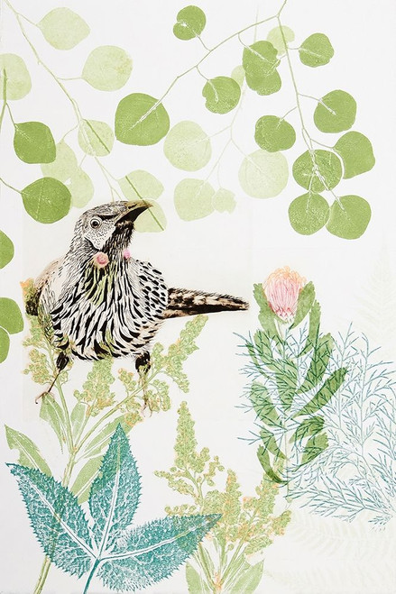 Wattlebird and Pincushion Protea Poster Print by Trudy Rice # R1372D