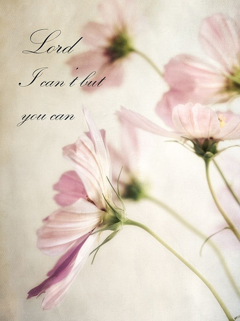 Petite Lord Poster Print by Dianne Poinski # QPDRC13114B