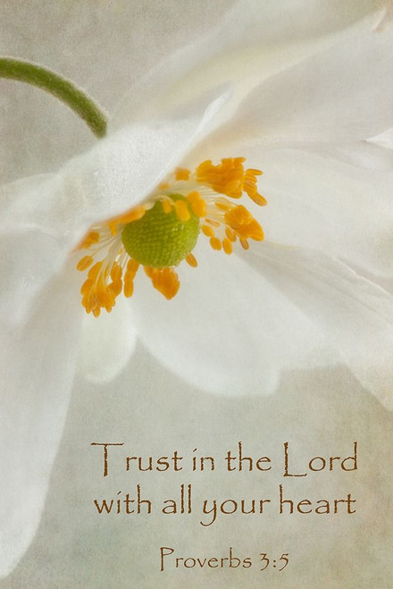 Spring Bonnet Trust Poster Print by Dianne Poinski # QPDRC1801B