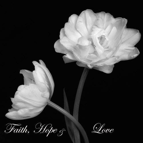 Faith Hope Love Poster Print by Dianne Poinski # QPDSQ11424B