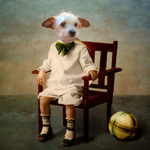 Henri Poster Print by Martine Roch # R1262D