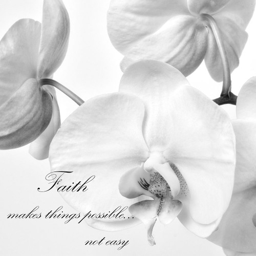 Faith Orchids Poster Print by Dianne Poinski # QPDSQ10931B