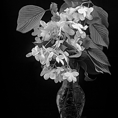 White Dogwood Poster Print by George Johnson # PSJSN332