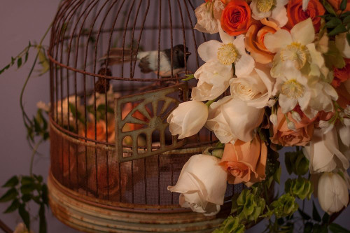 Flowers and Bird Cage II Poster Print by Rita Crane # PSCRN471