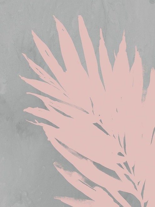 Pink Fan Poster Print by PI Juvenile PI Juvenile # PJ007A