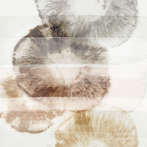 Blue Iris II Neutral Version  Poster Print by PI Studio PI Studio # PI136CNEUTRAL