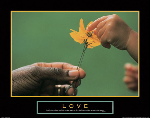 Love - Picking Petals Poster Print by Unknown Unknown # PE101807