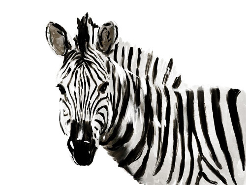 Original Zebra Poster Print by OnRei OnRei # ONRC284B2