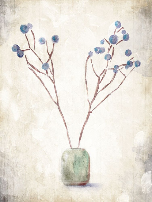 Secluded Plant Poster Print by OnRei OnRei # ONRC266B