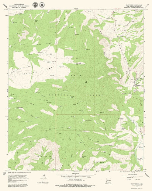 Glenwood New Mexico Quad - USGS 1965 Poster Print by USGS USGS # NMGL0001