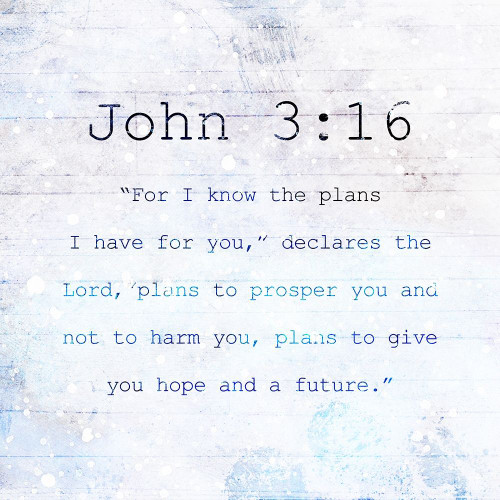 John Night Farm Poster Print by Milli Villa # MVSQ584A