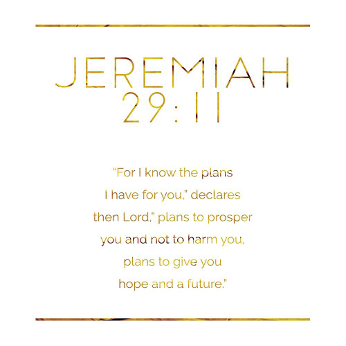 New Jeremiah Gold Poster Print by Milli Villa # MVSQ628D