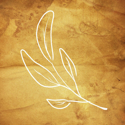 Simple ReGold Flower Poster Print by Milli Villa # MVSQ613A