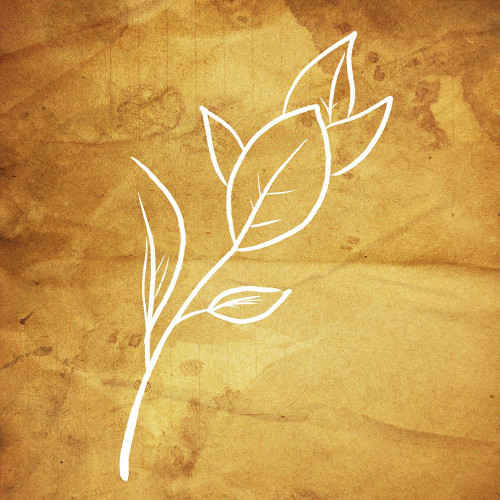 Simple ReGold Flower 2 Poster Print by Milli Villa # MVSQ614A