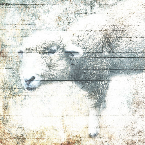 Wake Up Time Poster Print by Mlli Villa # MVSQ563B