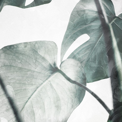 Both Relaxing Off The Stem Poster Print by Mlli Villa # MVSQ555B