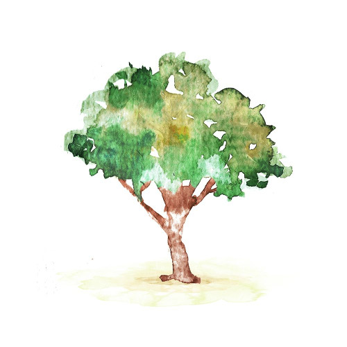 Water The Tree Poster Print by Mlli Villa # MVSQ435A