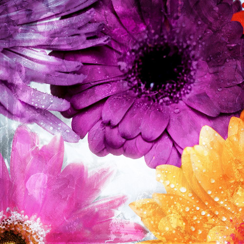 Look Flowers Poster Print by Mlli Villa # MVSQ449A