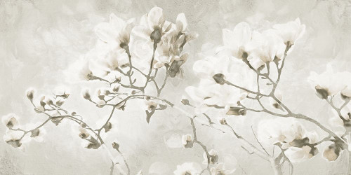 Bloom Through Cream Poster Print by Milli Villa # MVRN101A