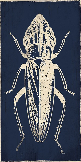 Bug Life Blue Three Poster Print by Milli Villa # MVRN050C2