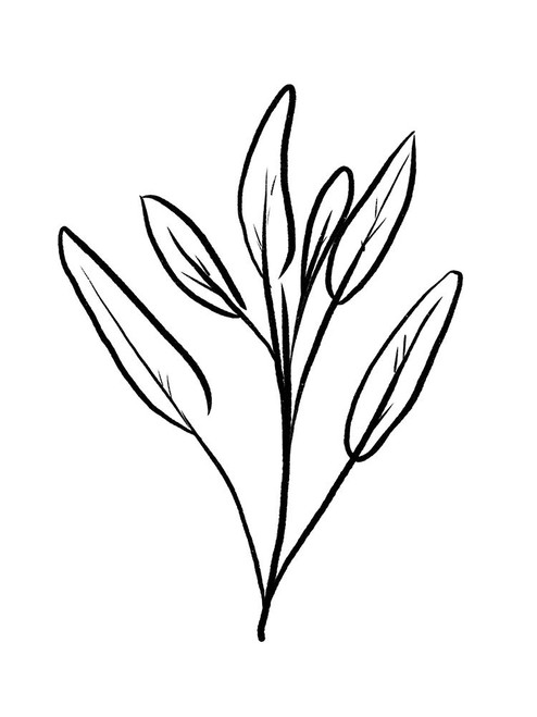 Simple Flowers 2 Poster Print by Milli Villa # MVRC674B