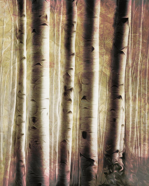 Burnt Birch Family 2 Poster Print by Milli Villa # MVRC697B