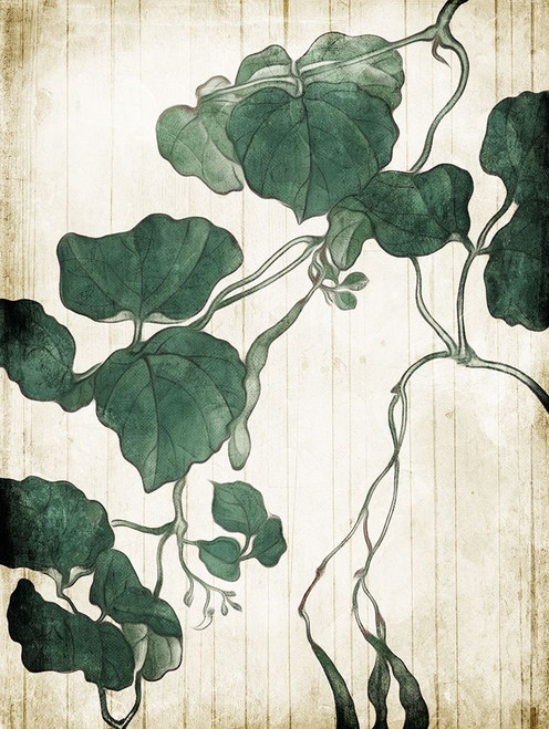 Hanging Leaves Poster Print by Milli Villa # MVRC627A