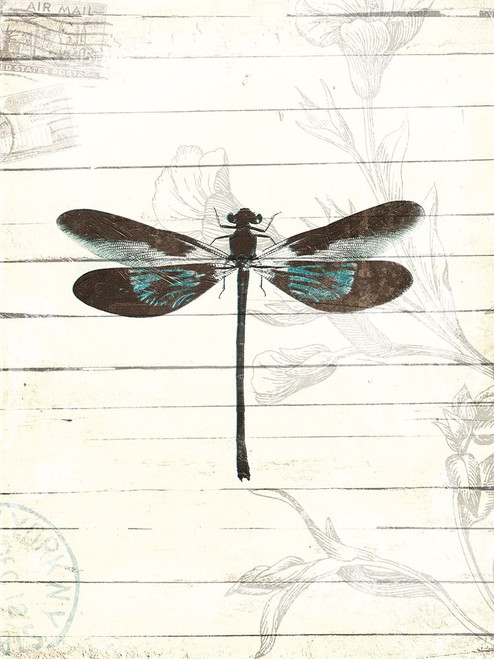 Dragonfly Look 2 Poster Print by Milli Villa # MVRC628B