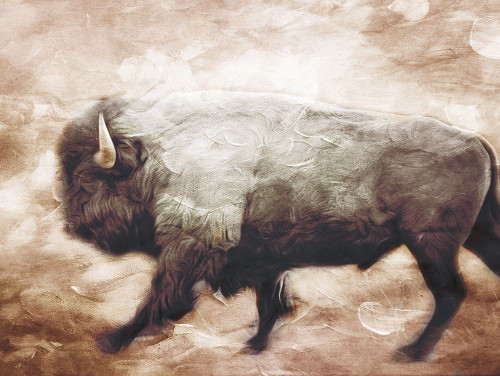 Buffalo Walk Poster Print by Milli Villa # MVRC660A