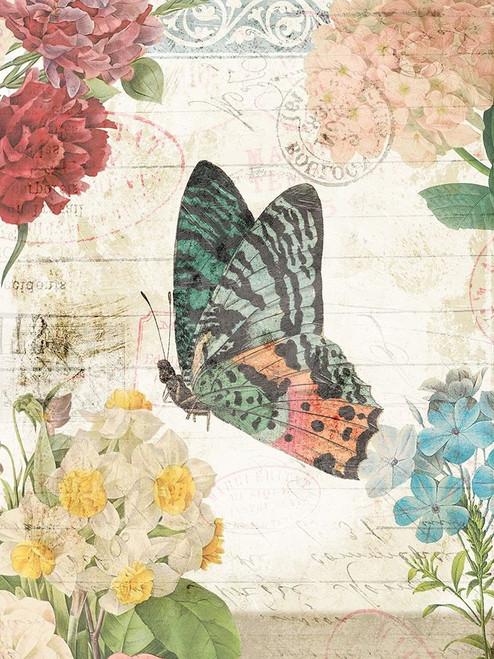 Butterfly Flowers 2 Poster Print by Milli Villa # MVRC629B