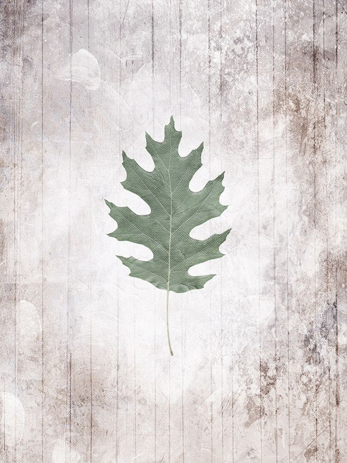 Washed Leaf Poster Print by Mlli Villa # MVRC569A