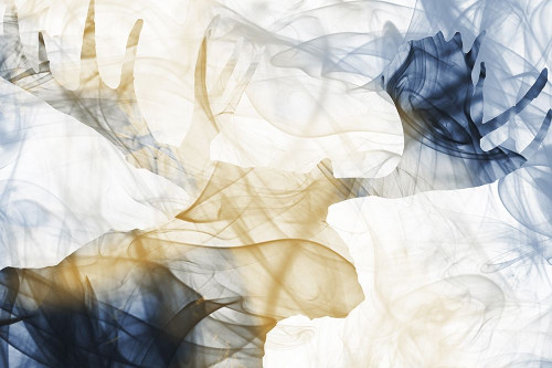 Moose Smoke Poster Print by Milli Villa # MVRC580A