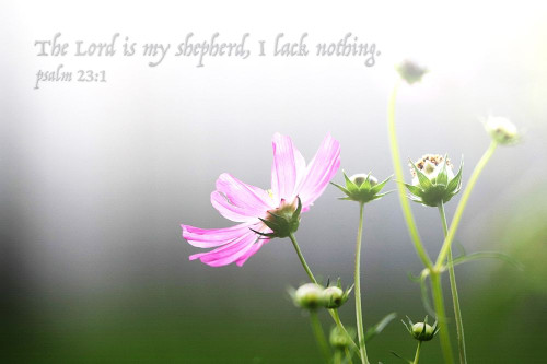 The Lord Poster Print by Mlli Villa # MVRC549B