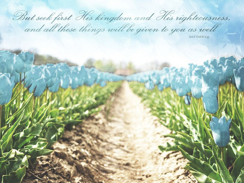 But Seek Poster Print by Mlli Villa # MVRC552A