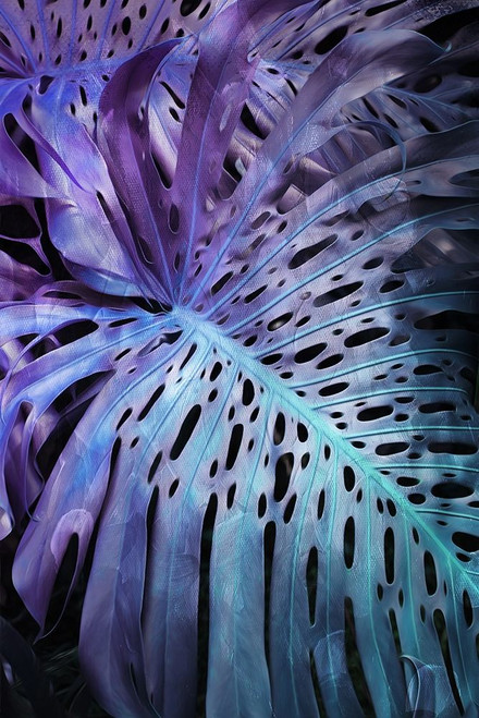 Night Foliage Poster Print by Mlli Villa # MVRC484A