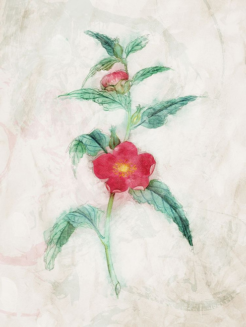 Water Flower Poster Print by Mlli Villa # MVRC492A