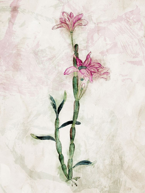 Water Flower Mate Poster Print by Mlli Villa # MVRC492B