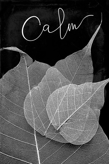 Calm Leaves Poster Print by Mlli Villa # MVRC478A