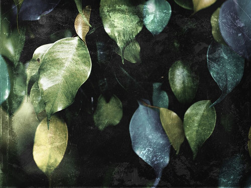 Hanging Leaves Poster Print by Mlli Villa # MVRC485A
