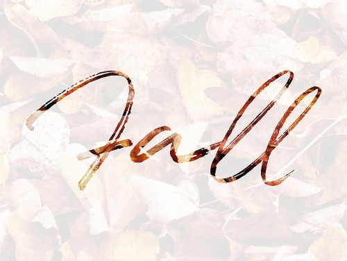 Fall Leaves Poster Print by Mlli Villa # MVRC560A