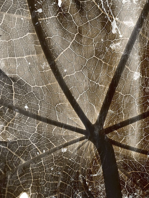 Reach Poster Print by Mlli Villa # MVRC052B