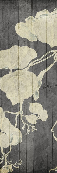 Aged Hanging Leaves 2 Poster Print by Milli Villa # MVPL114B