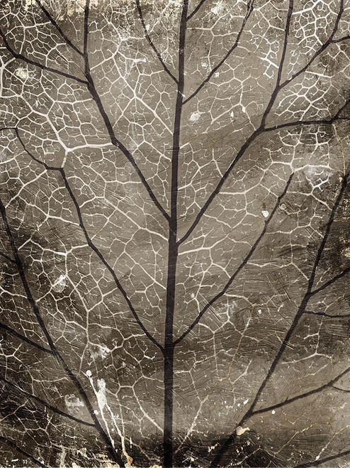 Path Poster Print by Milli Villa # MVRC052D