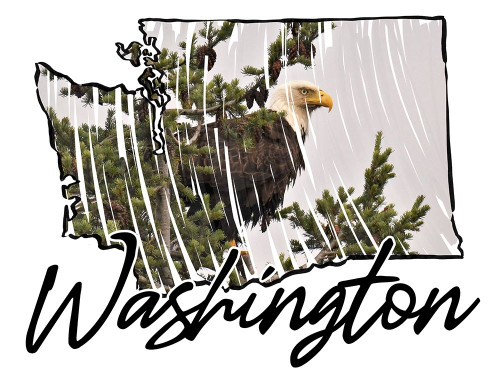 Washington Pride Poster Print by Marcus Prime # MPRC644A