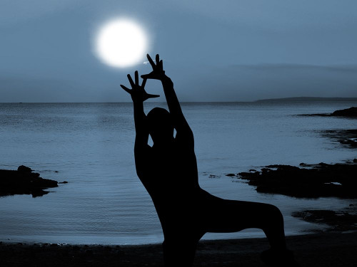 Shoot For The Sun 1 Poster Print by Marcus Prime # MPRC607C