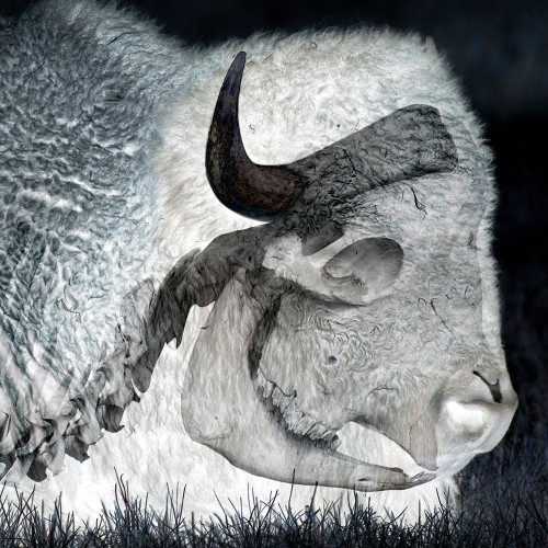 Inside Views 1 Poster Print by Marcus Prime # MPSQ318A