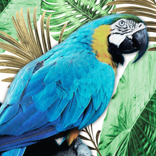 Tropical Views 2 Poster Print by Marcus Prime # MPSQ306A1