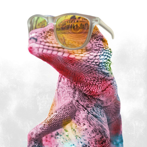Cool Gecko 1 Poster Print by Marcus Prime # MPSQ325A