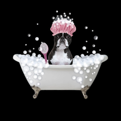 Bath Time Bubbles 4 Poster Print by Marcus Prime # MPSQ106B1